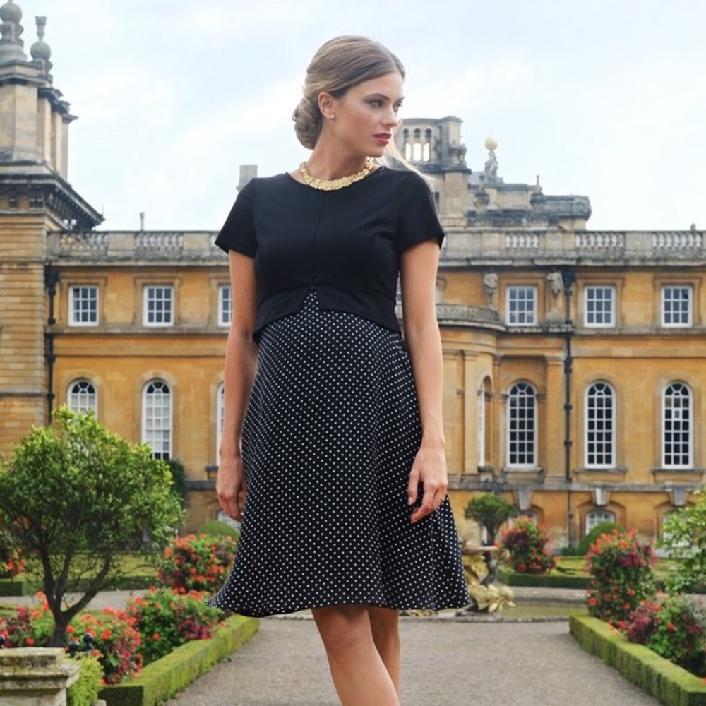 Seraphine silk maternity & nursing dress s: 2